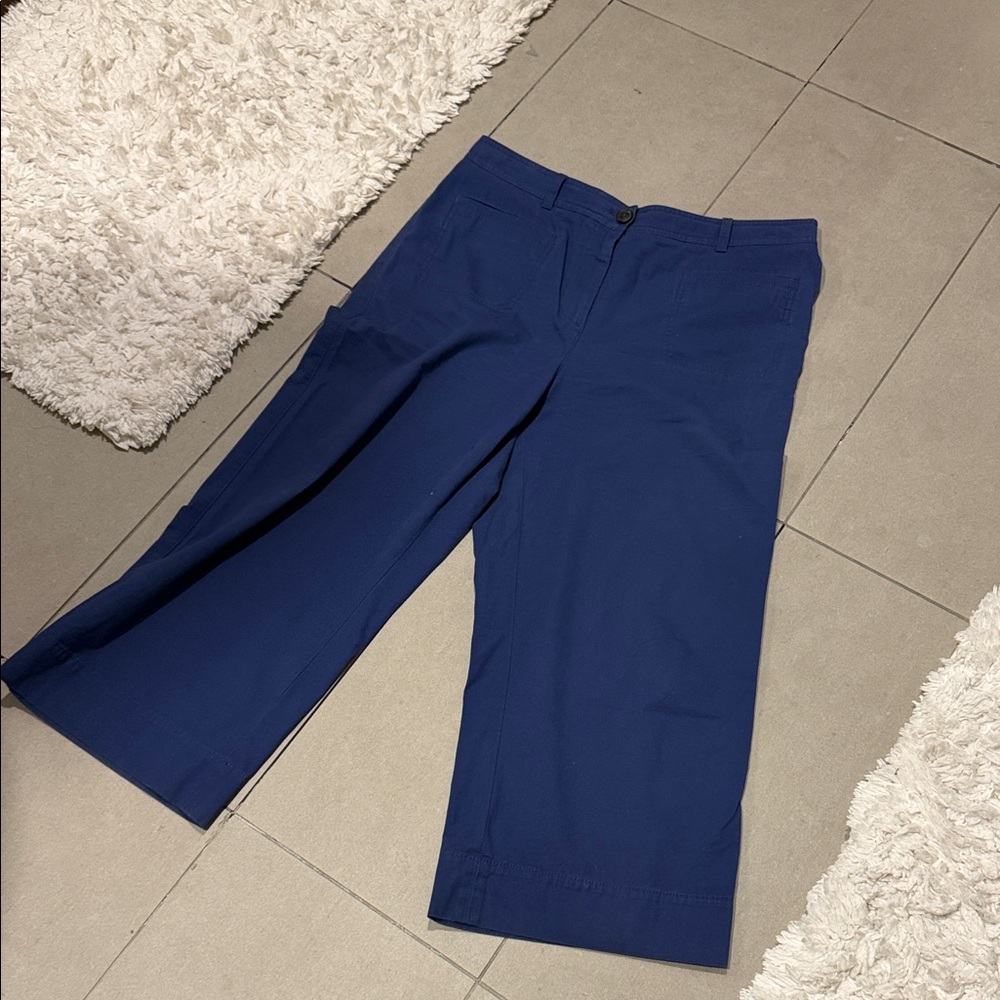 Talbots Deep Blue Straight-Leg Chino Pants